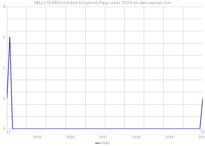 NELLY DUNGU (United Kingdom) Page visits 2024 