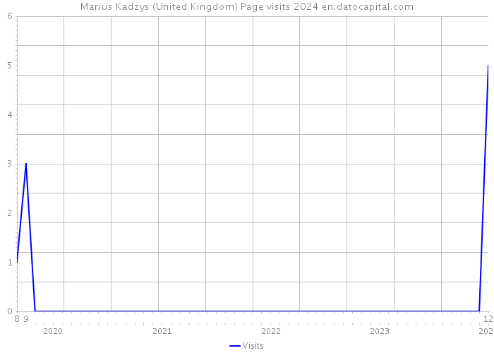 Marius Kadzys (United Kingdom) Page visits 2024 