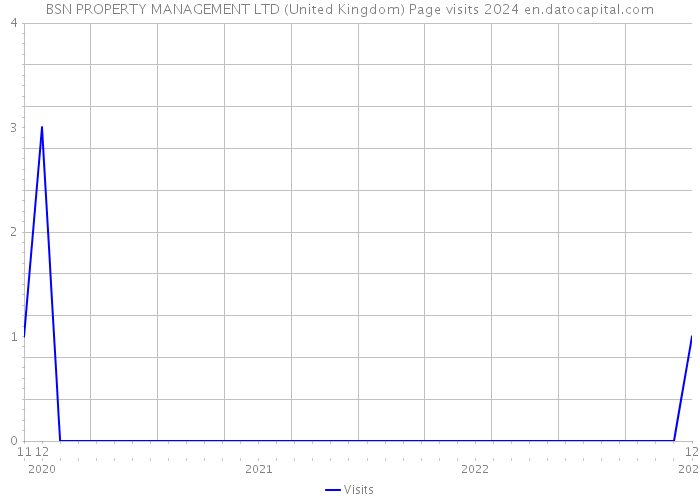 BSN PROPERTY MANAGEMENT LTD (United Kingdom) Page visits 2024 