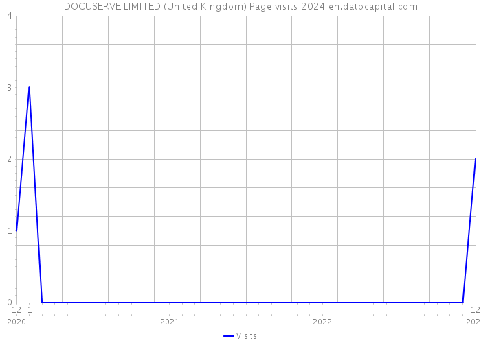 DOCUSERVE LIMITED (United Kingdom) Page visits 2024 