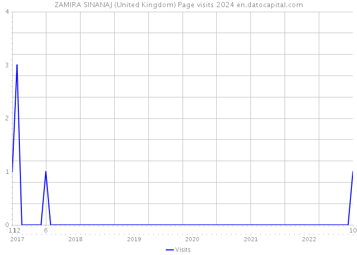 ZAMIRA SINANAJ (United Kingdom) Page visits 2024 