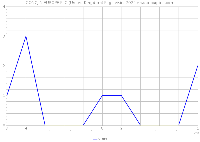 GONGJIN EUROPE PLC (United Kingdom) Page visits 2024 