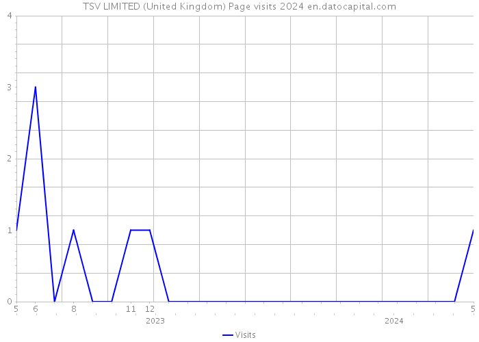 TSV LIMITED (United Kingdom) Page visits 2024 