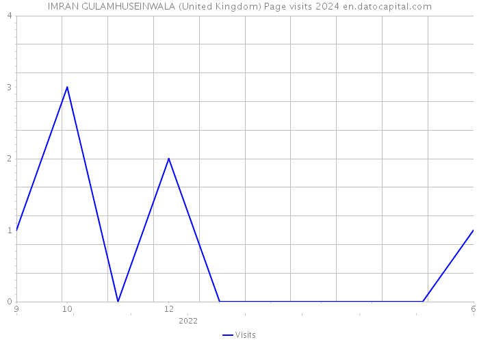 IMRAN GULAMHUSEINWALA (United Kingdom) Page visits 2024 