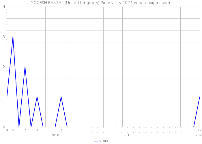 YOGESH BANSAL (United Kingdom) Page visits 2024 