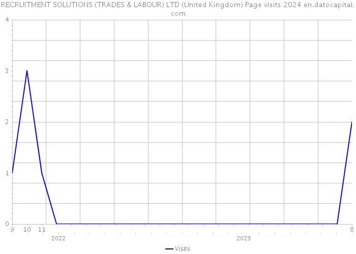 RECRUITMENT SOLUTIONS (TRADES & LABOUR) LTD (United Kingdom) Page visits 2024 