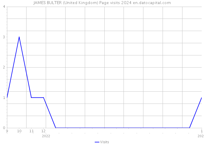 JAMES BULTER (United Kingdom) Page visits 2024 