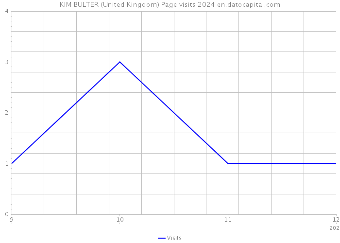 KIM BULTER (United Kingdom) Page visits 2024 