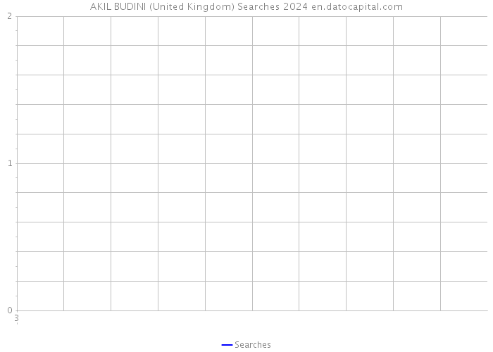 AKIL BUDINI (United Kingdom) Searches 2024 