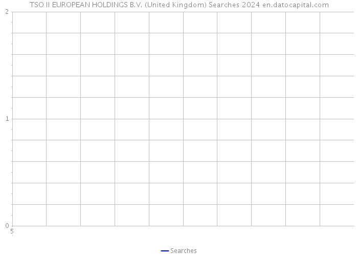 TSO II EUROPEAN HOLDINGS B.V. (United Kingdom) Searches 2024 