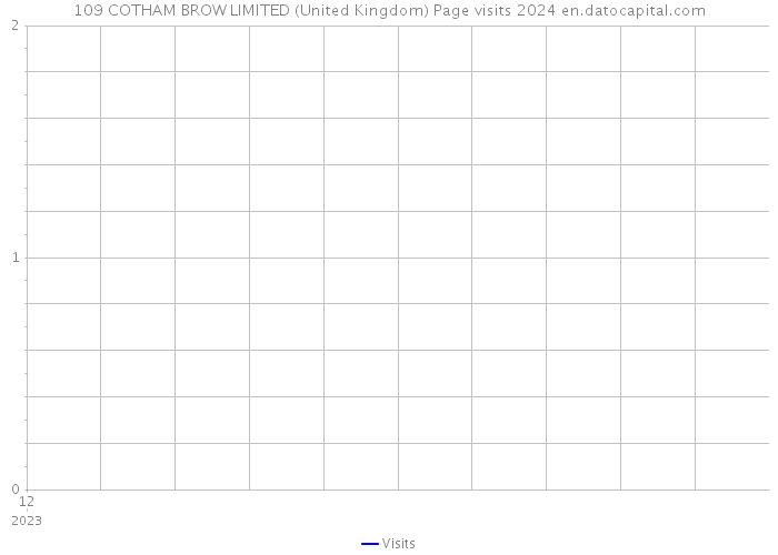 109 COTHAM BROW LIMITED (United Kingdom) Page visits 2024 