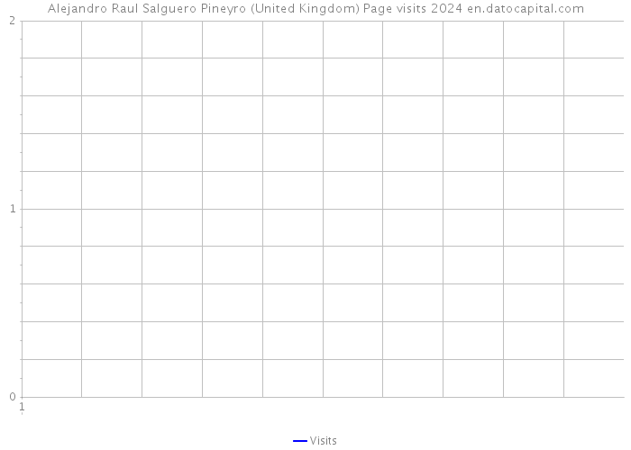 Alejandro Raul Salguero Pineyro (United Kingdom) Page visits 2024 