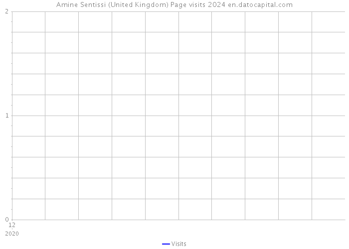 Amine Sentissi (United Kingdom) Page visits 2024 