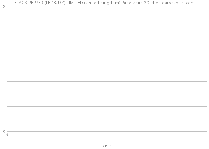 BLACK PEPPER (LEDBURY) LIMITED (United Kingdom) Page visits 2024 