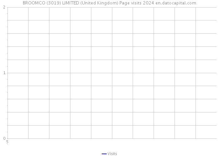 BROOMCO (3019) LIMITED (United Kingdom) Page visits 2024 