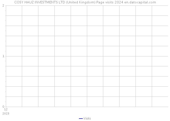 COSY HAUZ INVESTMENTS LTD (United Kingdom) Page visits 2024 