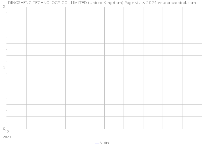 DINGSHENG TECHNOLOGY CO., LIMITED (United Kingdom) Page visits 2024 