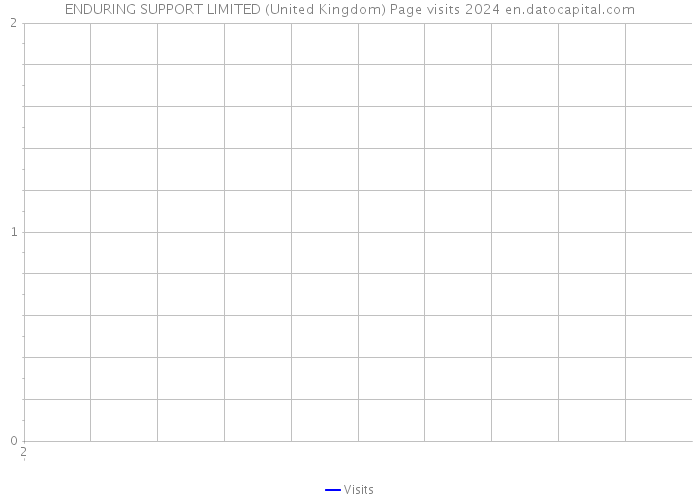 ENDURING SUPPORT LIMITED (United Kingdom) Page visits 2024 