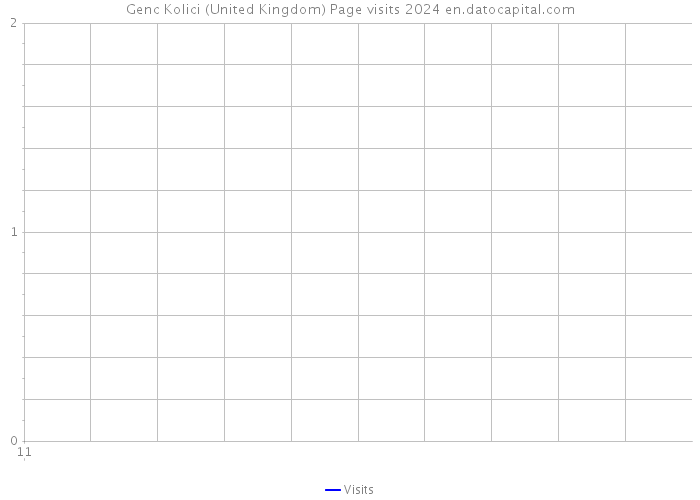 Genc Kolici (United Kingdom) Page visits 2024 