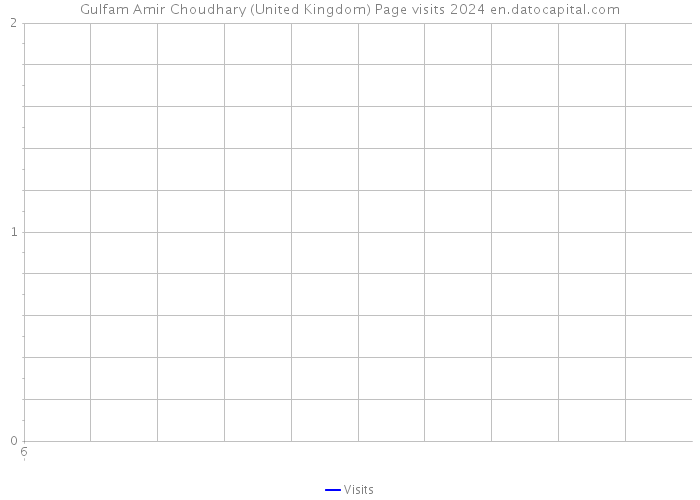 Gulfam Amir Choudhary (United Kingdom) Page visits 2024 