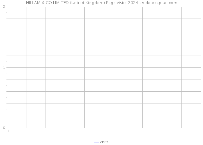 HILLAM & CO LIMITED (United Kingdom) Page visits 2024 