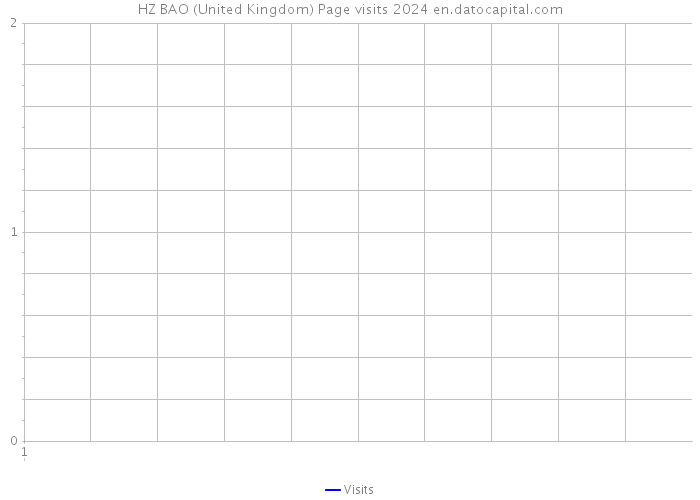 HZ BAO (United Kingdom) Page visits 2024 