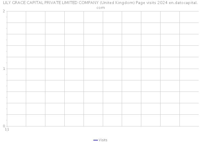 LILY GRACE CAPITAL PRIVATE LIMITED COMPANY (United Kingdom) Page visits 2024 