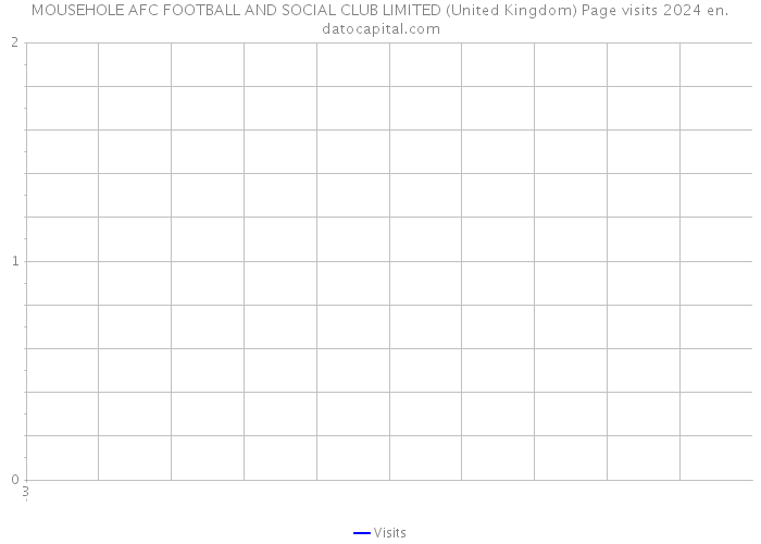 MOUSEHOLE AFC FOOTBALL AND SOCIAL CLUB LIMITED (United Kingdom) Page visits 2024 