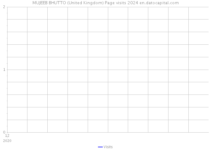 MUJEEB BHUTTO (United Kingdom) Page visits 2024 
