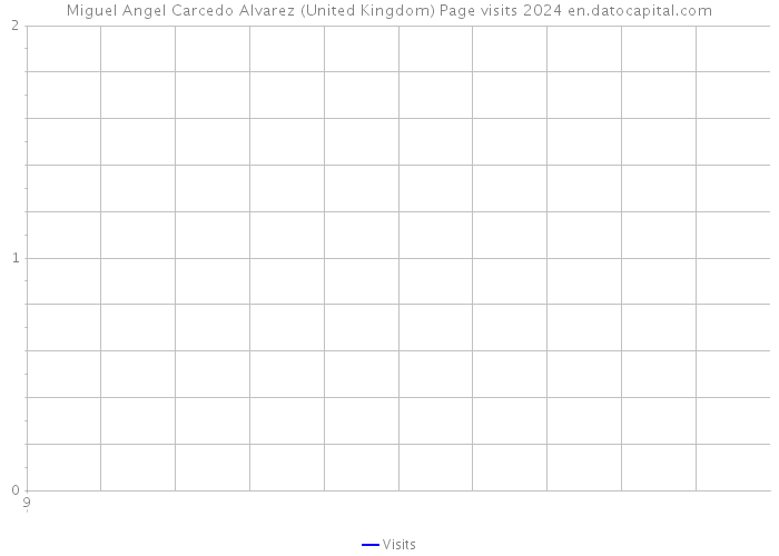 Miguel Angel Carcedo Alvarez (United Kingdom) Page visits 2024 