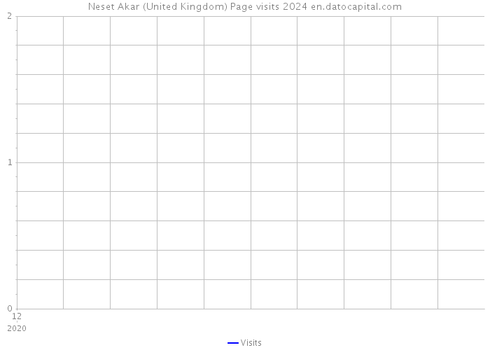 Neset Akar (United Kingdom) Page visits 2024 