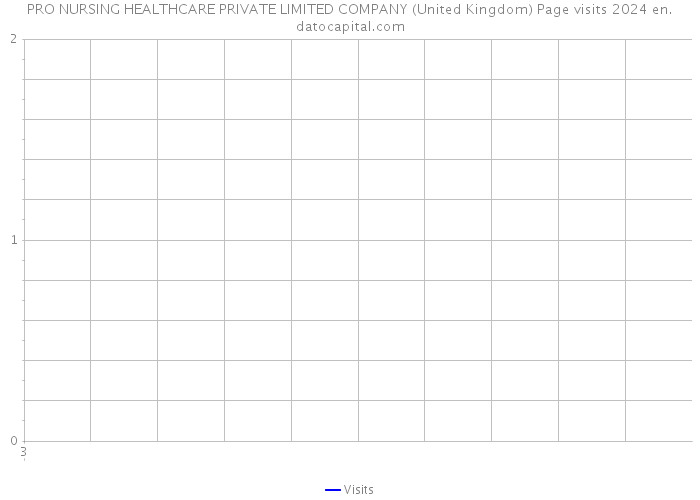 PRO NURSING HEALTHCARE PRIVATE LIMITED COMPANY (United Kingdom) Page visits 2024 