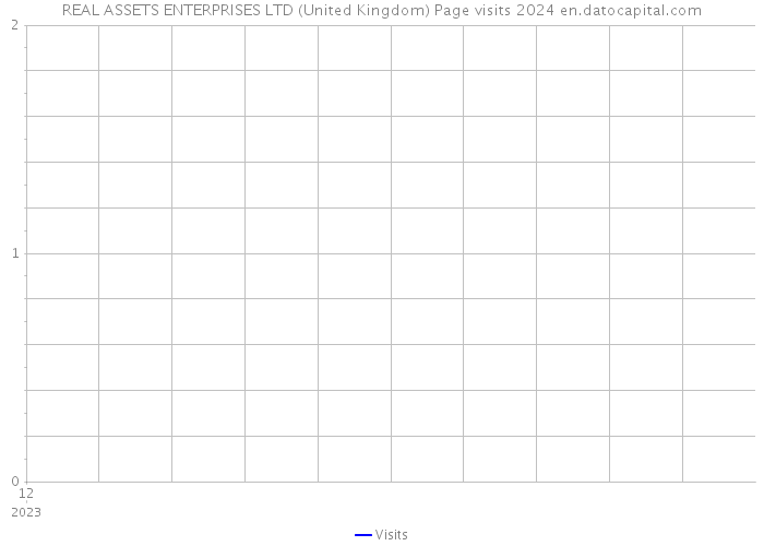 REAL ASSETS ENTERPRISES LTD (United Kingdom) Page visits 2024 