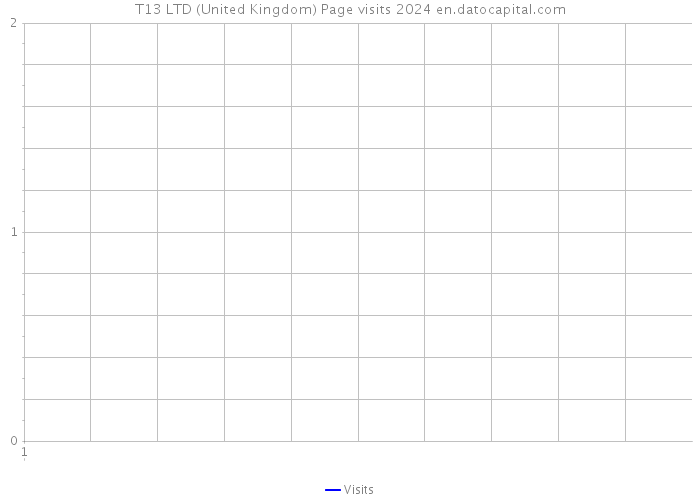T13 LTD (United Kingdom) Page visits 2024 