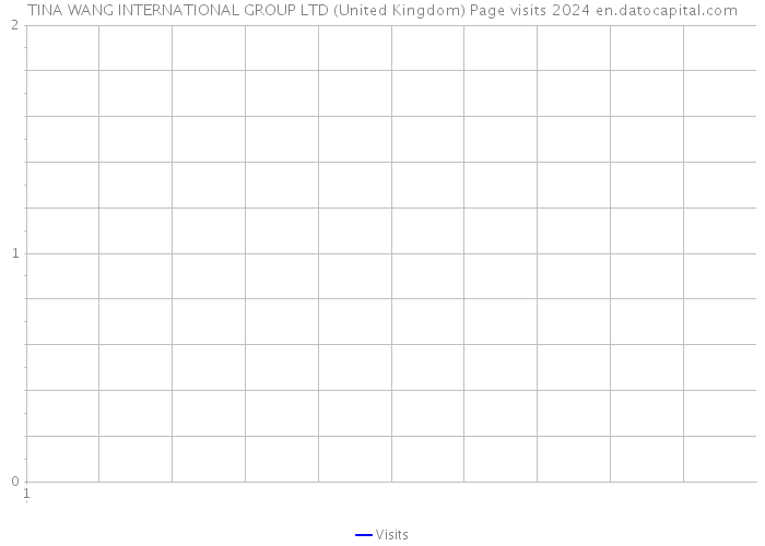 TINA WANG INTERNATIONAL GROUP LTD (United Kingdom) Page visits 2024 