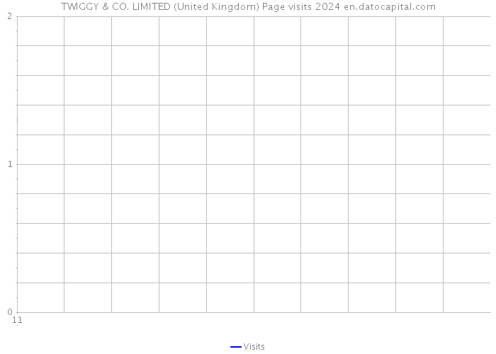 TWIGGY & CO. LIMITED (United Kingdom) Page visits 2024 