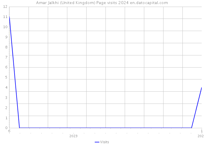 Amar Jalkhi (United Kingdom) Page visits 2024 