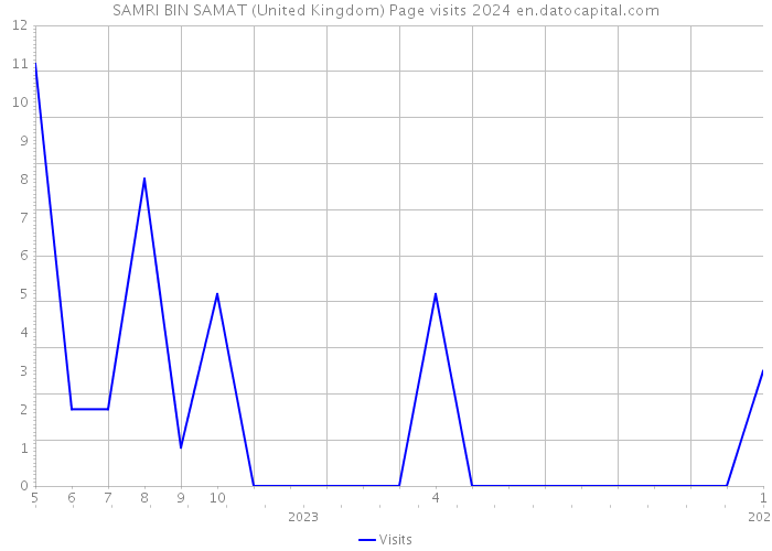 SAMRI BIN SAMAT (United Kingdom) Page visits 2024 
