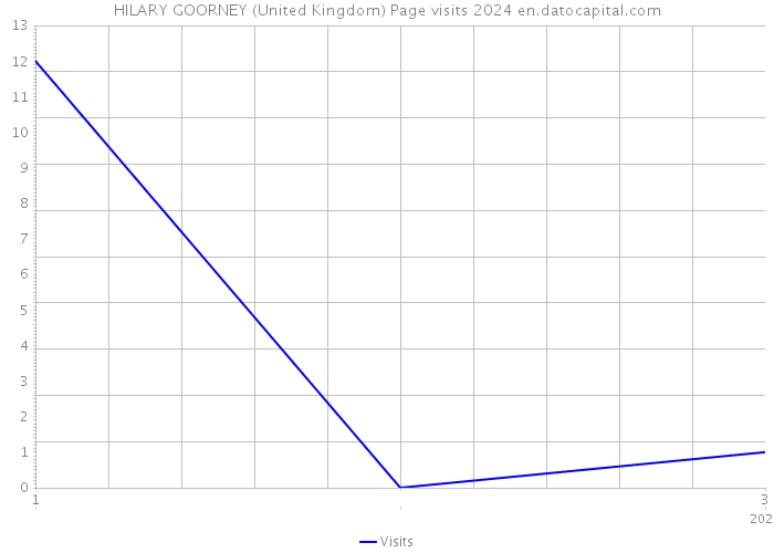 HILARY GOORNEY (United Kingdom) Page visits 2024 