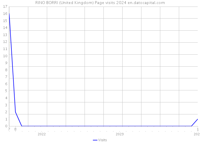 RINO BORRI (United Kingdom) Page visits 2024 
