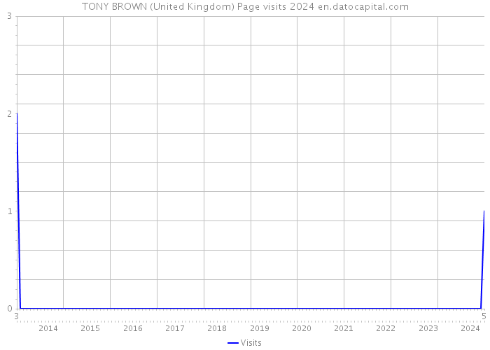 TONY BROWN (United Kingdom) Page visits 2024 