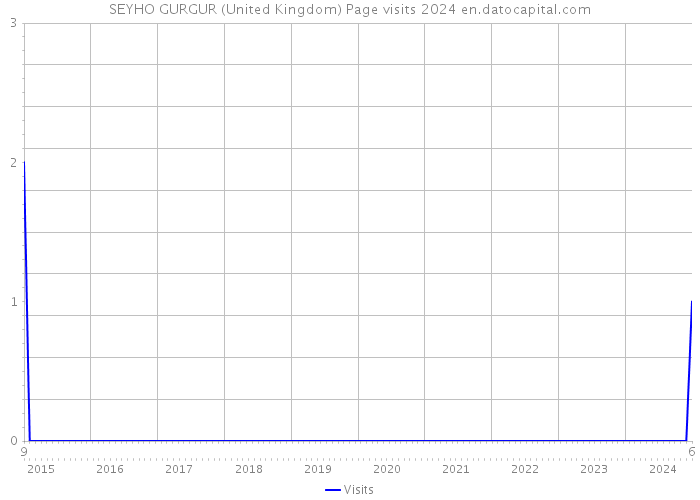 SEYHO GURGUR (United Kingdom) Page visits 2024 