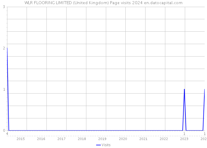 WLR FLOORING LIMITED (United Kingdom) Page visits 2024 