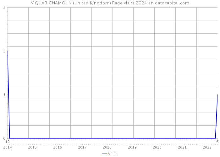 VIQUAR CHAMOUN (United Kingdom) Page visits 2024 