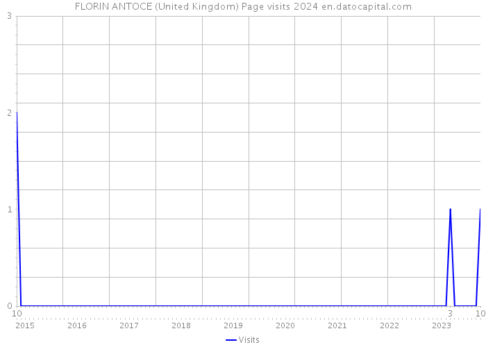 FLORIN ANTOCE (United Kingdom) Page visits 2024 