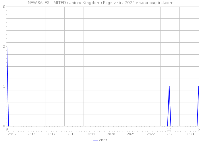 NEW SALES LIMITED (United Kingdom) Page visits 2024 