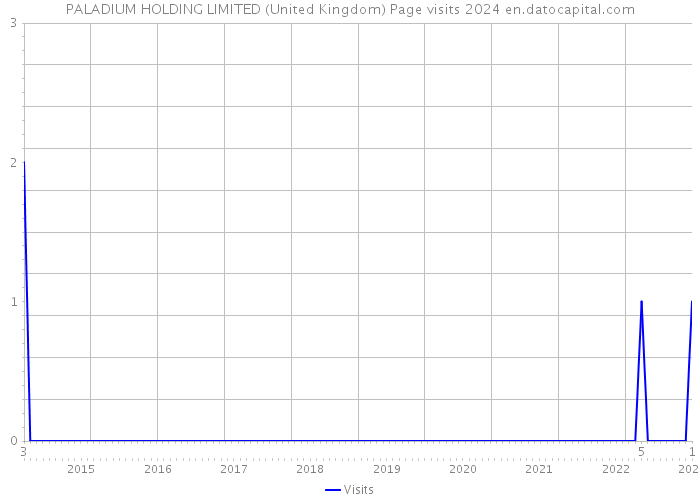 PALADIUM HOLDING LIMITED (United Kingdom) Page visits 2024 