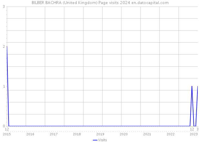 BILBER BACHRA (United Kingdom) Page visits 2024 