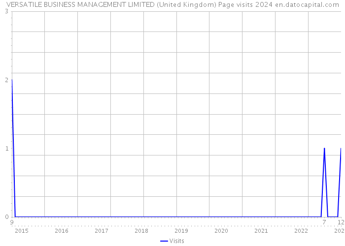 VERSATILE BUSINESS MANAGEMENT LIMITED (United Kingdom) Page visits 2024 