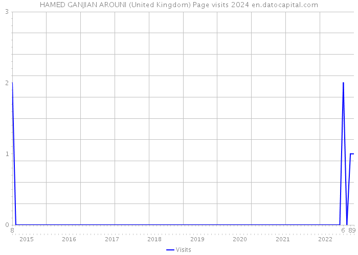 HAMED GANJIAN AROUNI (United Kingdom) Page visits 2024 